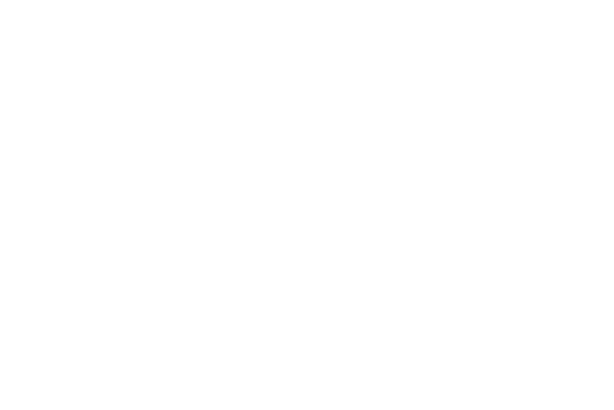 Ronchi Biaggi